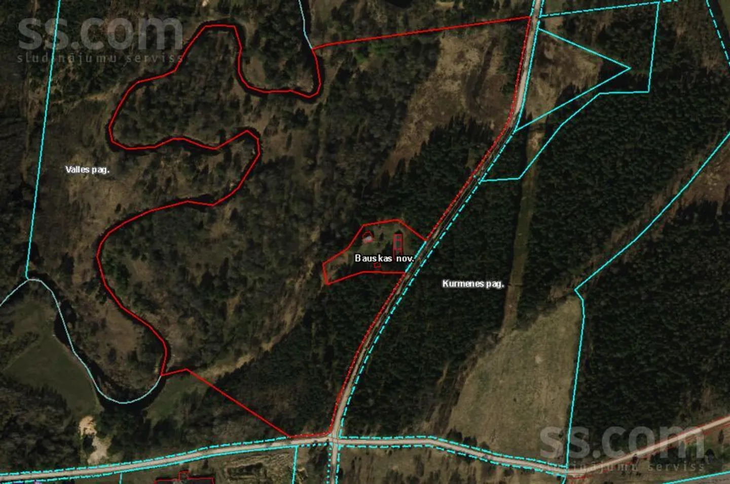 Meža zemes sludinājums - Bauskas novads, - - 12,00 ha