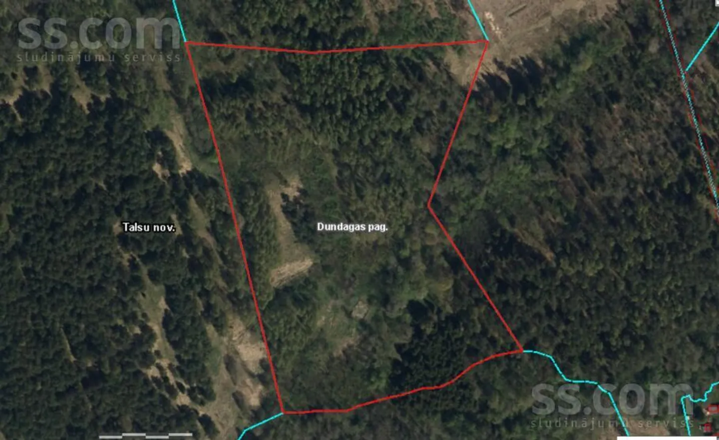 Meža zemes sludinājums - Talsu novads, Dundagas pag.Oste - 5,00 ha