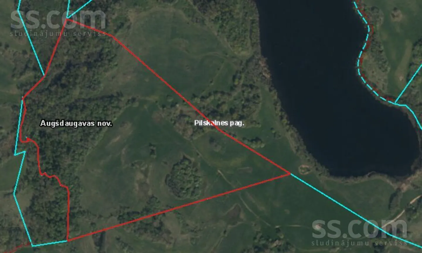 Meža zemes sludinājums - Daugavpils novads, Pilskalnes pag. - 16,00 ha