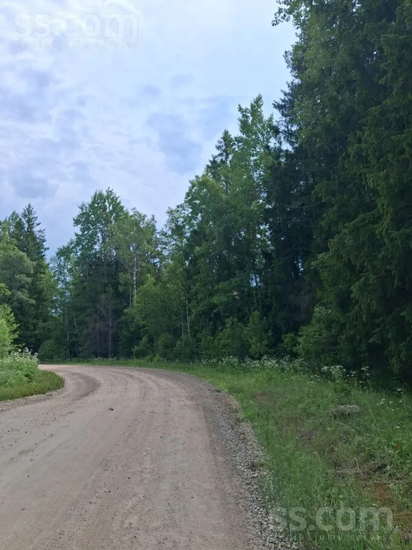 Meža zemes sludinājums - Cēsu novads, Skujenes pag. - 60,00 ha
