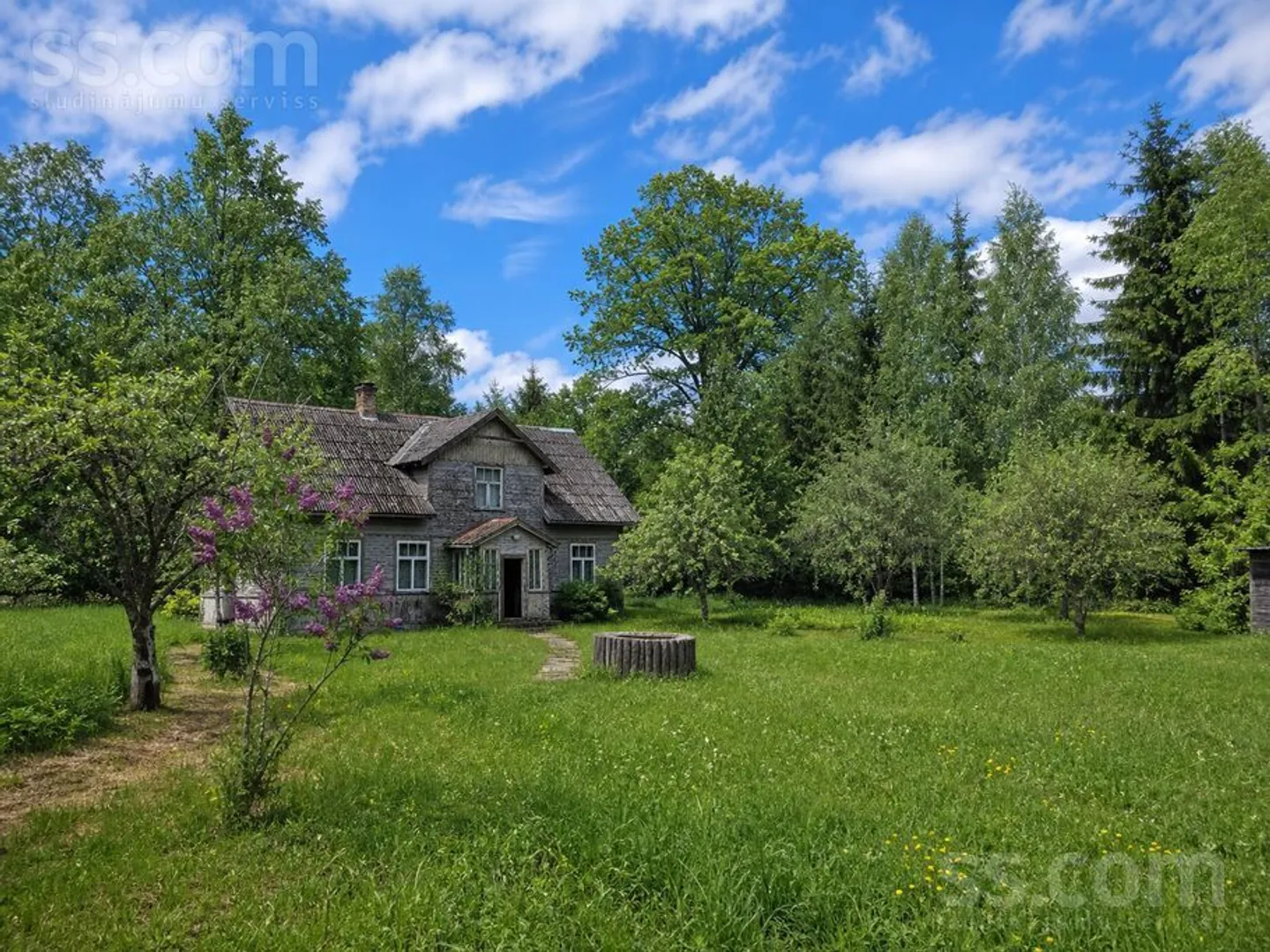 Meža zemes sludinājums - Talsu novads, Virbu pag. - 15,00 ha