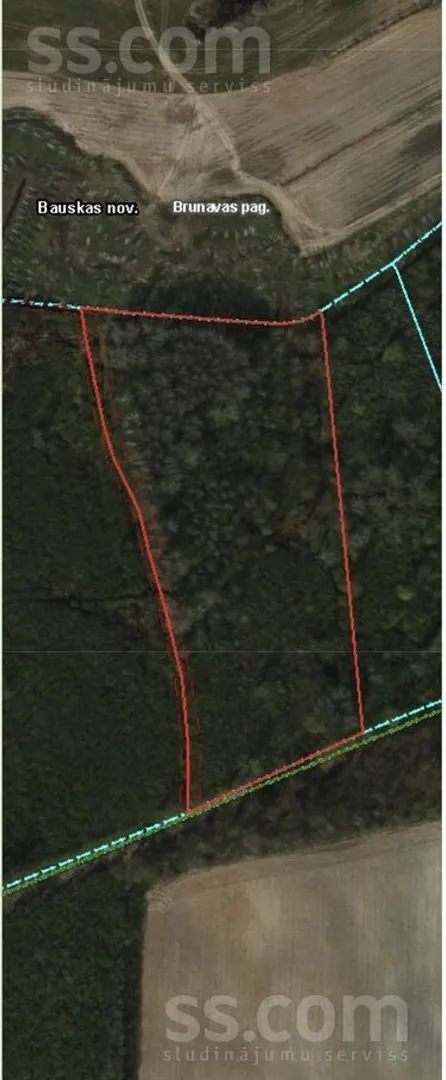 Meža zemes sludinājums - Bauskas novads, Brunavas pag.Budberga - 2,00 ha