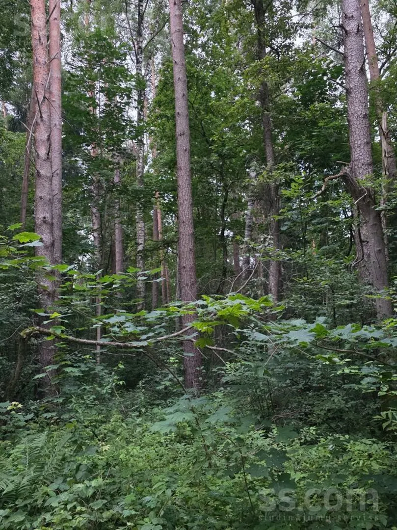 Meža zemes sludinājums - Alūksnes novads, Alūksne - 2,00 ha