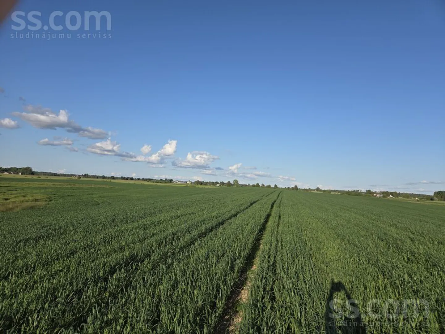 Meža zemes sludinājums - Kuldīgas novads, Vārmes pag.Vārme - 38,00 ha