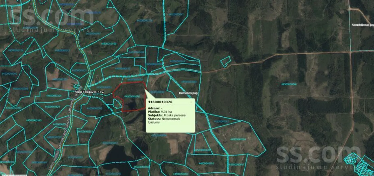 Meža zemes sludinājums - Daugavpils novads, Demenes pag.Demene - 9,00 ha
