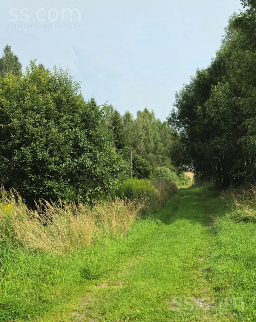 Meža zemes sludinājums - Rēzeknes novads, Griškānu pag.Pazareva - 6,00 ha