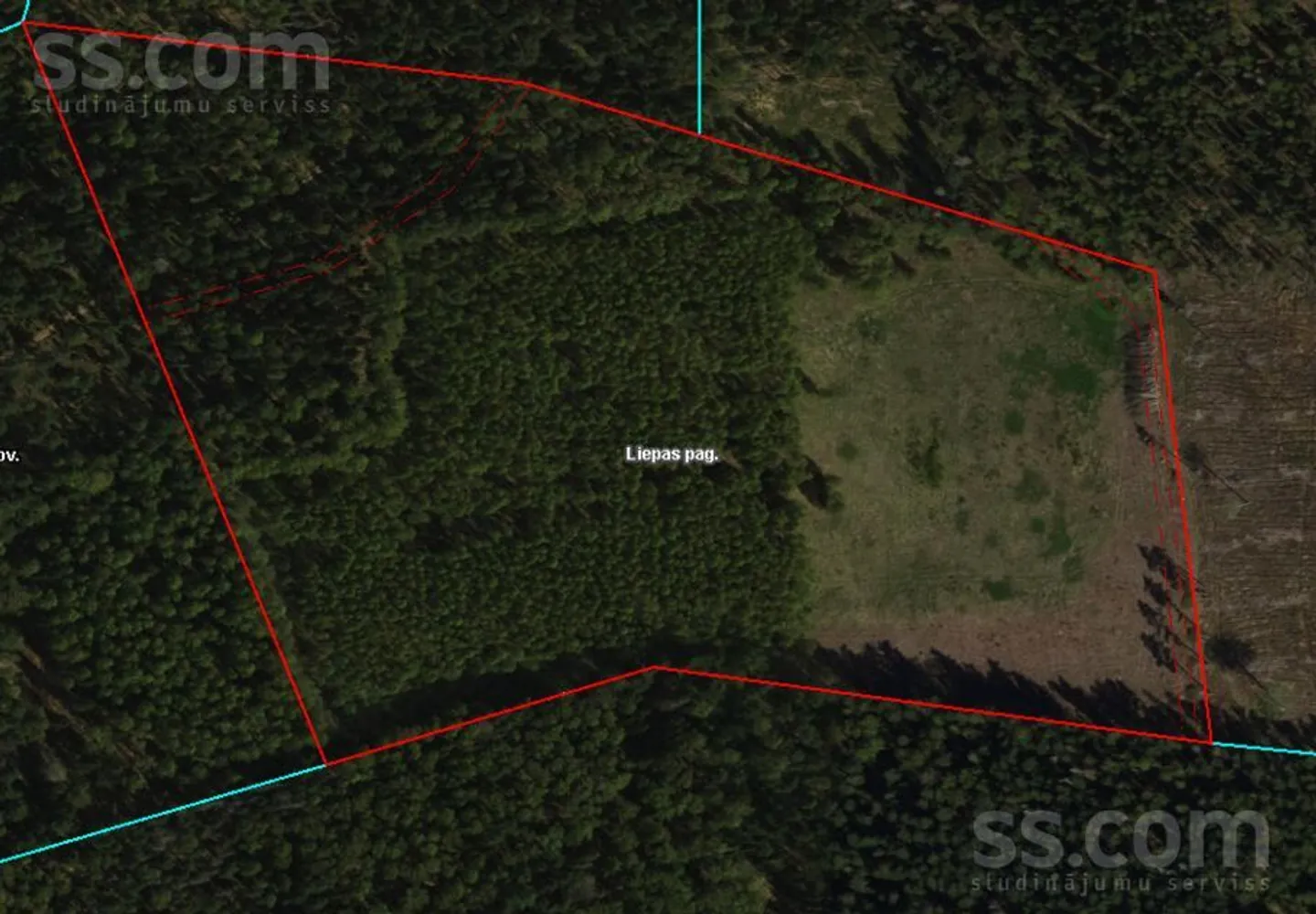 Meža zemes sludinājums - Cēsu novads, Liepas pag.Liepa - 8,00 ha