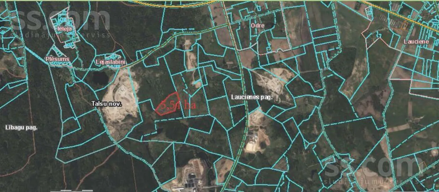 Meža zemes sludinājums - Talsu novads, Laucienes pag. - 6,00 ha