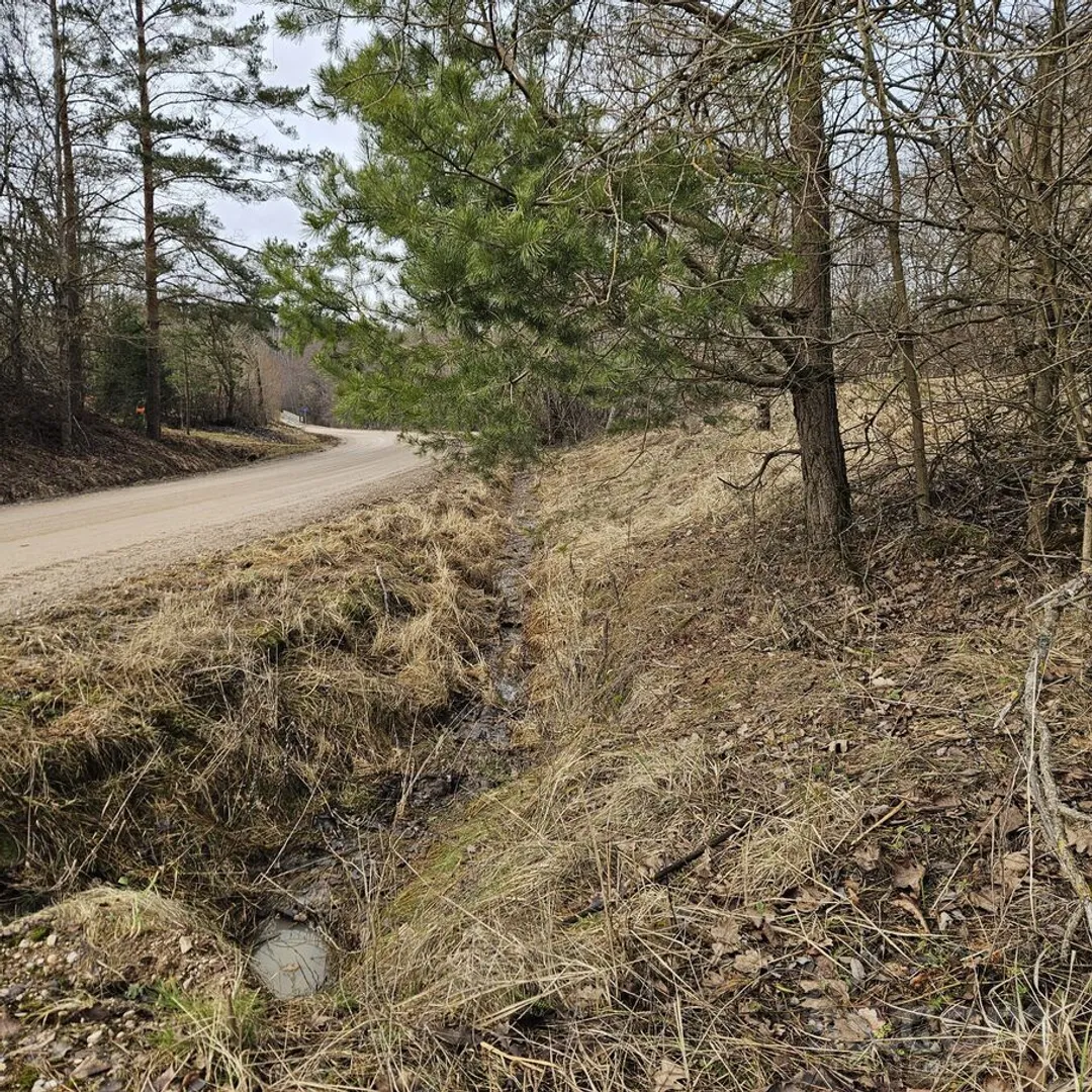 Meža zemes sludinājums - Kuldīgas novads, Nīkrāces pag.Tukums - 24,00 ha