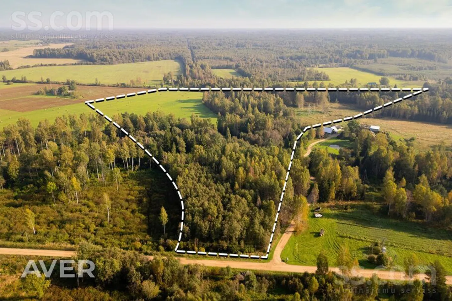 Meža zemes sludinājums - Limbažu novads, Pāles pag. - 12,00 ha