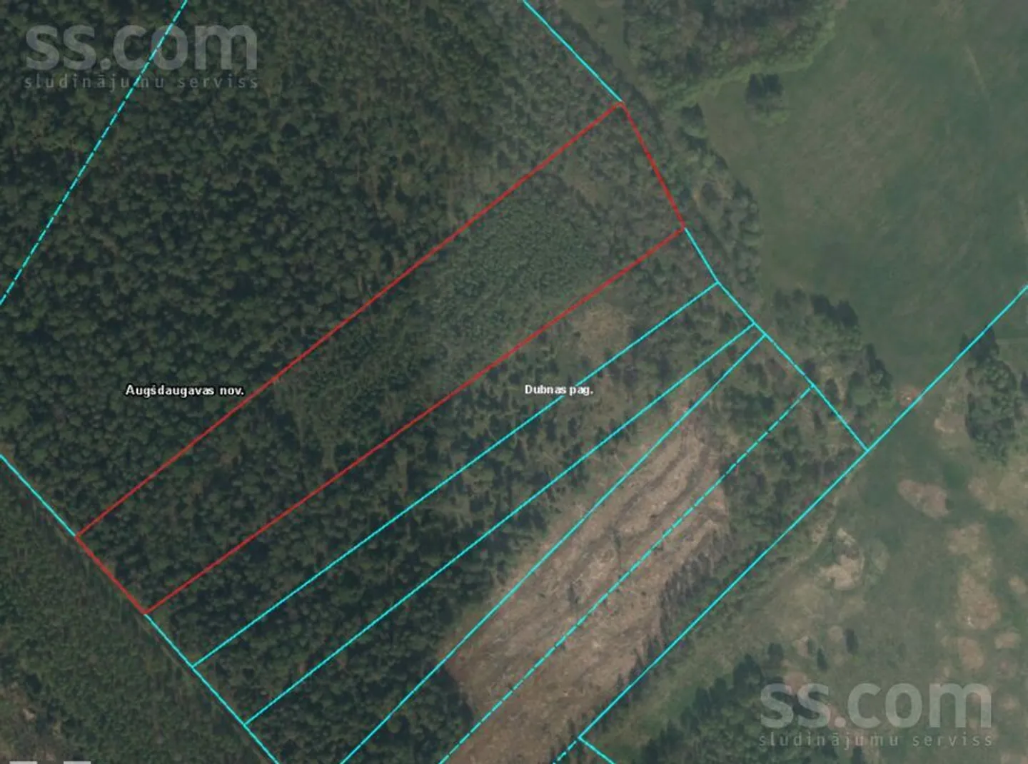 Meža zemes sludinājums - Daugavpils novads, Dubnas pag.Sludinišķi - 4,00 ha