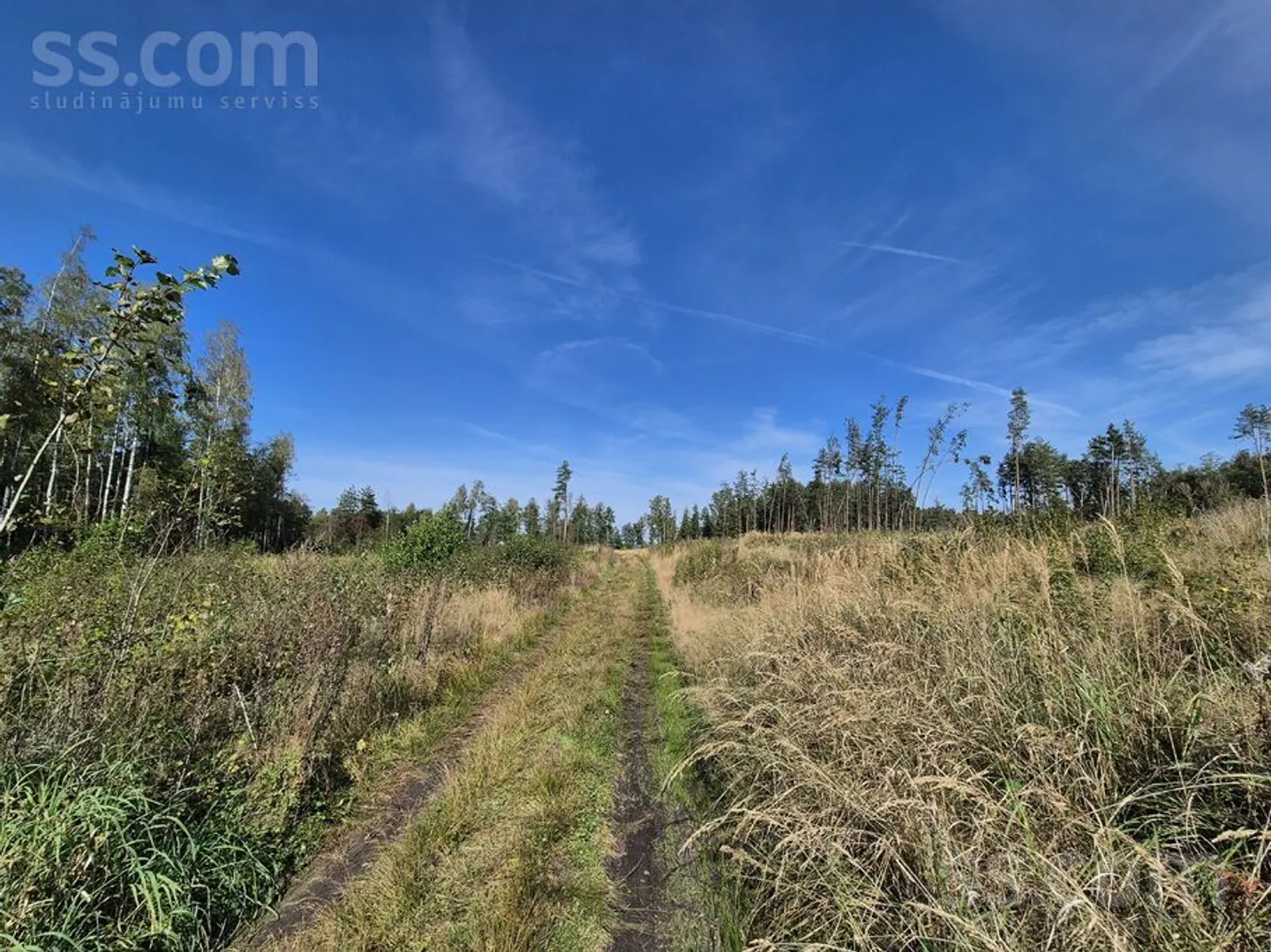 Meža zemes sludinājums - Daugavpils novads, Naujenes pag.Vecstropi - 12,35 ha